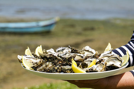 Les Parcs Du Passage