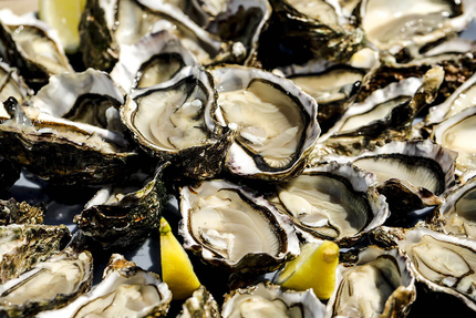 Les Parcs Du Passage