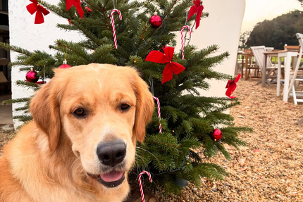 Les Parcs Du Passage