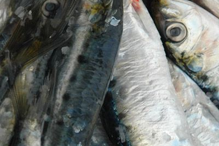 L' Atelier du goût Bandol