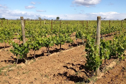 Domaine De Creyssels/ la remise