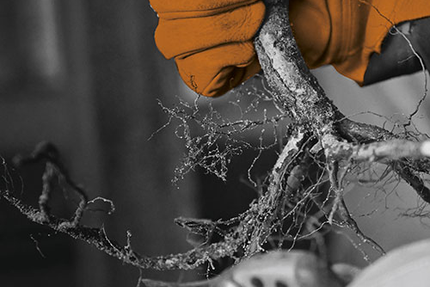 esatco Sarthe - Site d'Allonnes