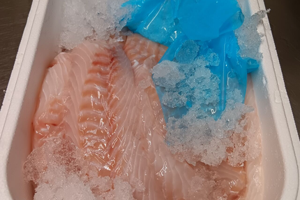 Terre et mer