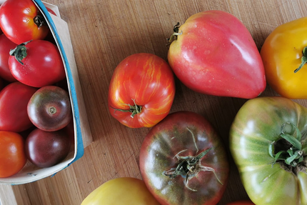 Station 810 St Geours de maremne