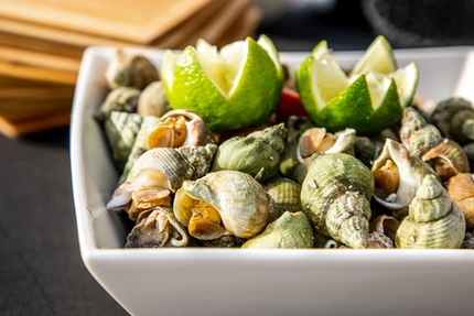 Ô Loup Saint-Michel