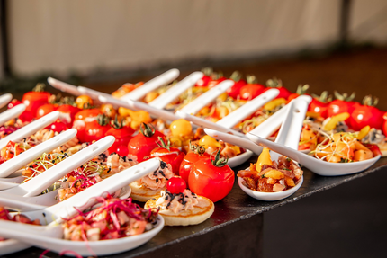 Ô Loup Saint-Michel