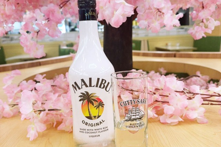 Tokyo Sushi (Marlenheim)