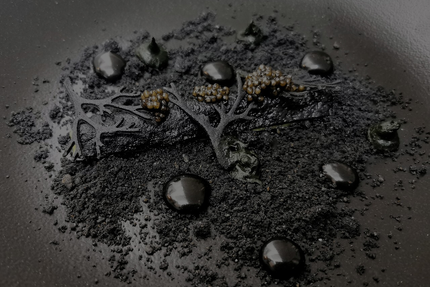 Restaurant Alexis Baudin