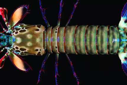 La Maison des Saveurs