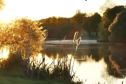 Restaurant La Foulquetière