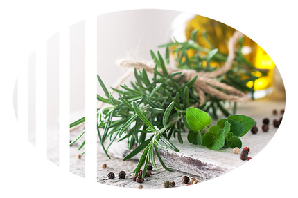 Les Saisons Gourmandes