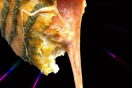 Saveurs Salentina 74