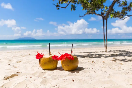 Break'in Bowl Allonzier-la-Caille