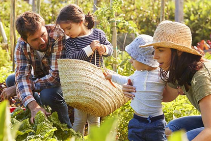 Le Resto du Jardin - Restaurant Bio Angers