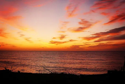 Restaurant L'Écurie