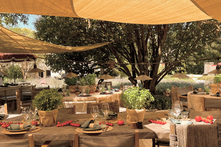 La Guinguette de Toile Blanche