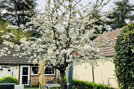 Restaurant C'heu l'Zib