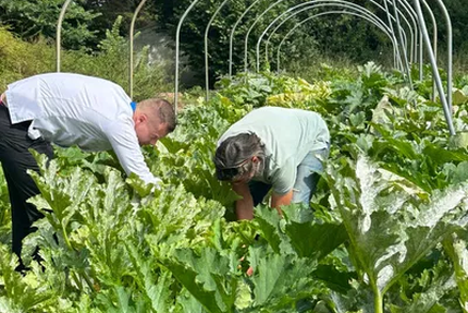 Daméa (anciennement Le P'tit Baigneur mais toujours le même chef depuis 2 ans)