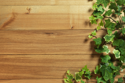 La Biachette - Restaurant et magasin de producteur Montluçon