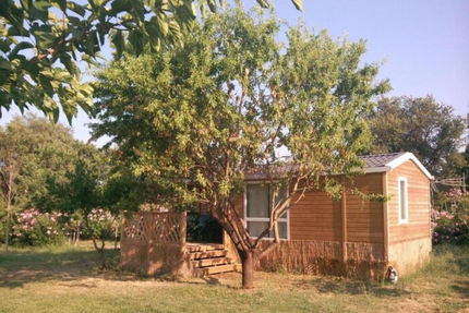 Snack Pizzeria du Camping de Ficajole