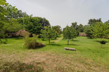 Snack Pizzeria du Camping de Ficajole