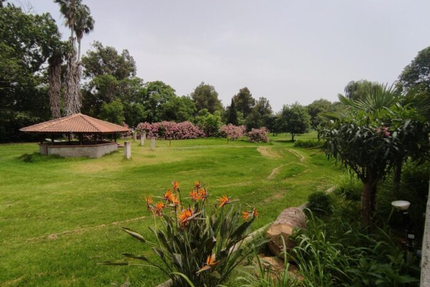 Snack Pizzeria du Camping de Ficajole