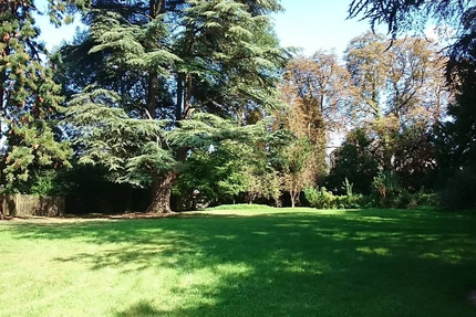 Le Moulignon