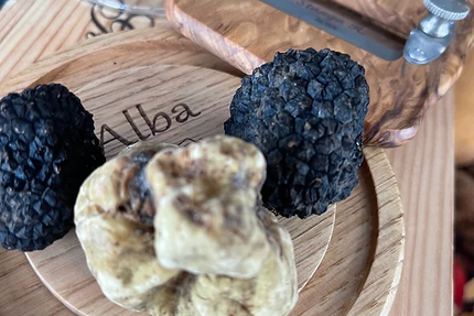 Alba Ristorante - Colombe