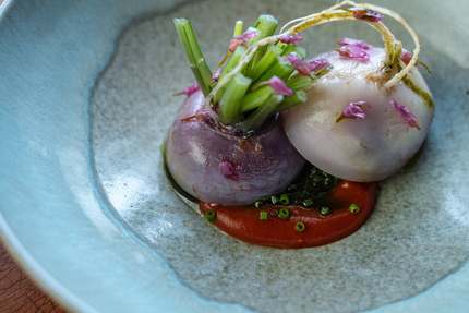 Restaurant Alchémille - Jérôme Jaegle