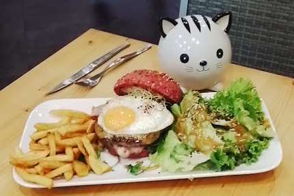 Féline Idée - Restaurant - Bar à Chats