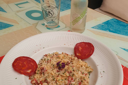 Féline Idée - Restaurant - Bar à Chats