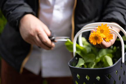 Restaurant Le Café des Arts