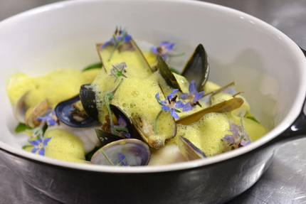 Hotel des Francs - Restaurant le Relais des Vignes