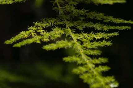 Restaurant La fleur de Sel