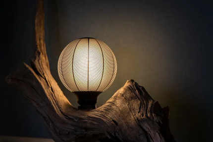 Restaurant La fleur de Sel