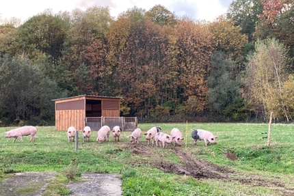 La Ferme De La Besse