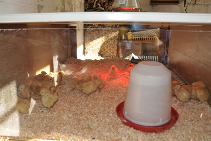 La Ferme De La Besse