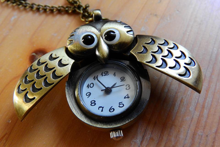 restaurant pizzeria bar le provençal