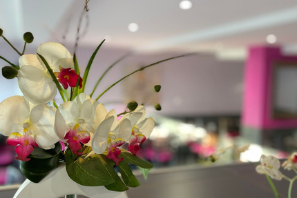 restaurant pizzeria bar le provençal