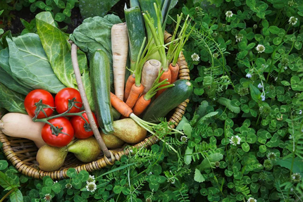 Les Délices Berbères