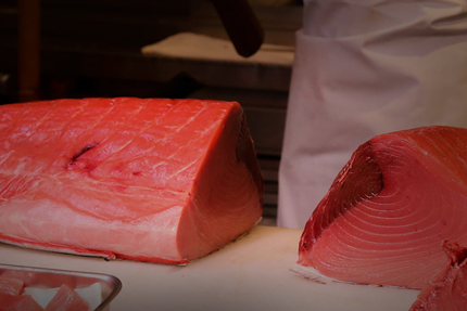 restaurant SAGA SUSHI