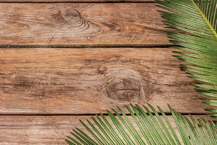 Planète Afrika Haïti