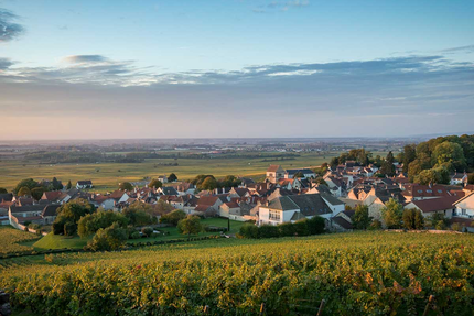 Le Cellier Volnaysien