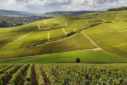 café Du centre, Bar - brasserie