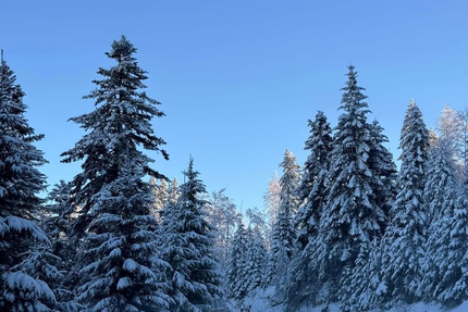 Auberge l'Espérance SARL