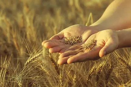 Pizzeria camping Bourg-Charente _ La détente