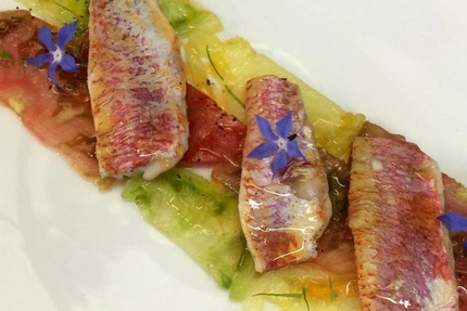 Manoir de la Pommeraie