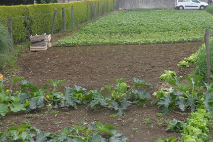 Bar-Restaurant le Ty Breizh