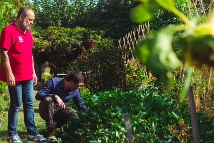Au Clair de la Vigne