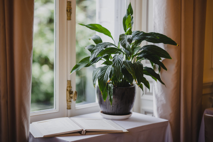 Restaurant La Table du Château Gratien Saumur